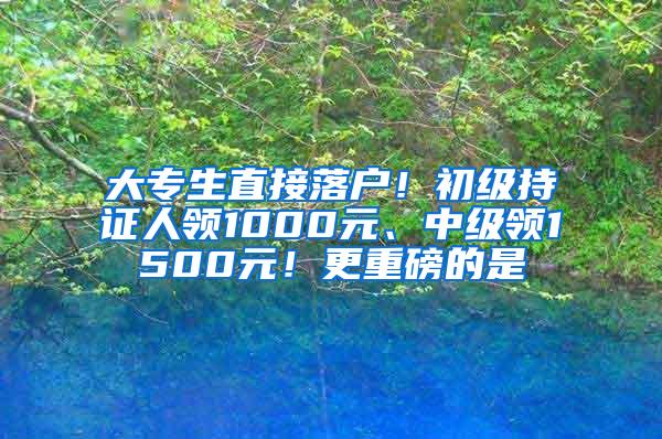 大专生直接落户！初级持证人领1000元、中级领1500元！更重磅的是
