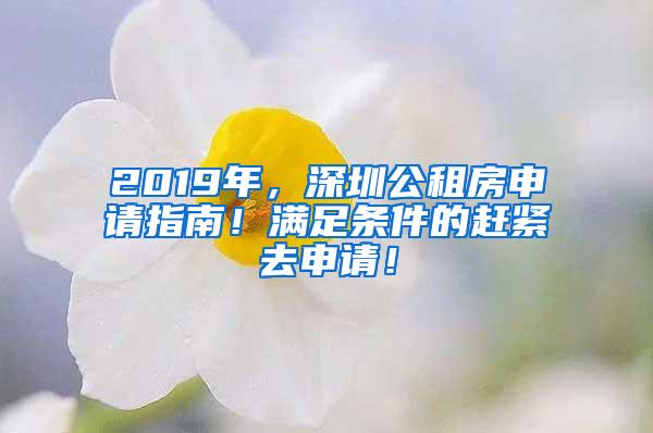 2019年，深圳公租房申请指南！满足条件的赶紧去申请！