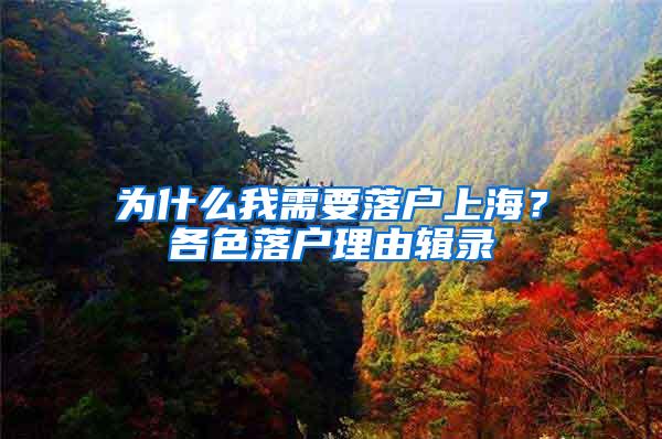 为什么我需要落户上海？各色落户理由辑录