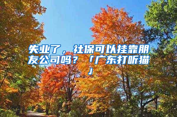 失业了，社保可以挂靠朋友公司吗？「广东打听猫」
