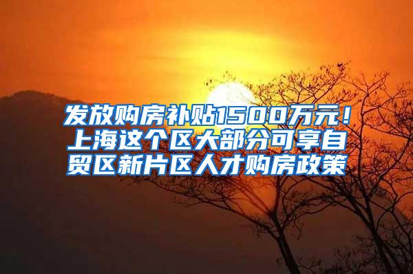 发放购房补贴1500万元！上海这个区大部分可享自贸区新片区人才购房政策
