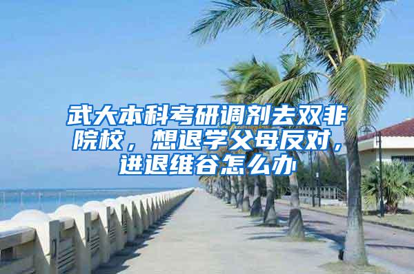 武大本科考研调剂去双非院校，想退学父母反对，进退维谷怎么办