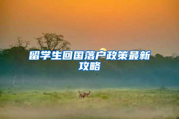 留学生回国落户政策最新攻略