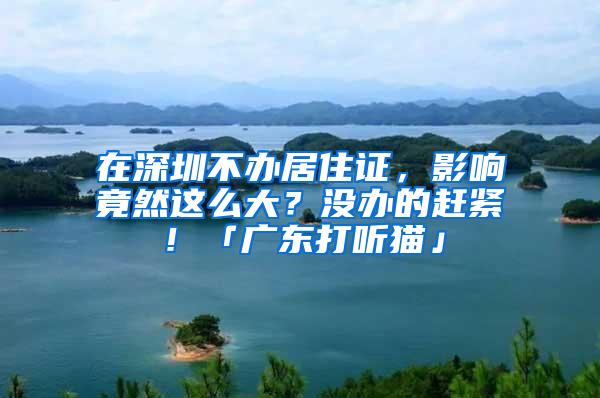 在深圳不办居住证，影响竟然这么大？没办的赶紧！「广东打听猫」