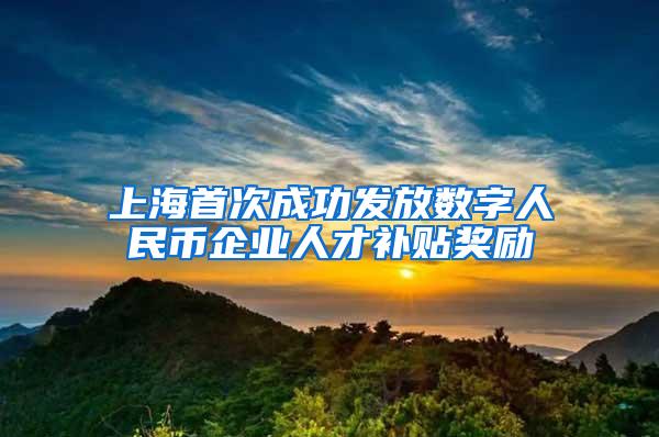 上海首次成功发放数字人民币企业人才补贴奖励