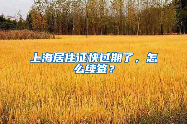 上海居住证快过期了，怎么续签？