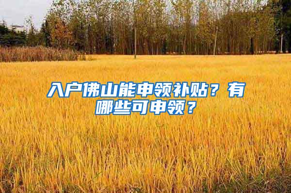 入户佛山能申领补贴？有哪些可申领？