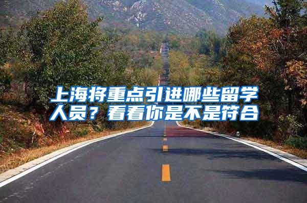 上海将重点引进哪些留学人员？看看你是不是符合→