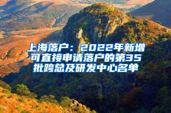 上海落户：2022年新增可直接申请落户的第35批跨总及研发中心名单