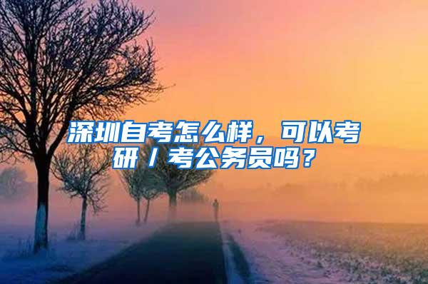 深圳自考怎么样，可以考研／考公务员吗？
