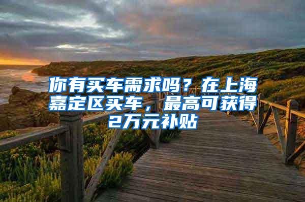 你有买车需求吗？在上海嘉定区买车，最高可获得2万元补贴