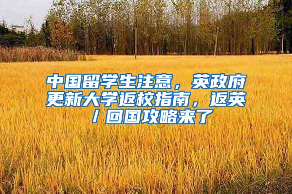 中国留学生注意，英政府更新大学返校指南，返英／回国攻略来了