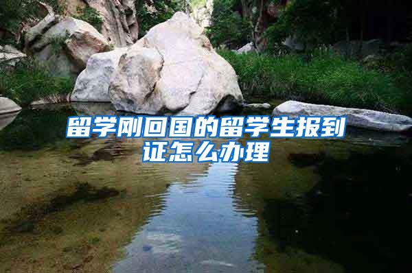 留学刚回国的留学生报到证怎么办理