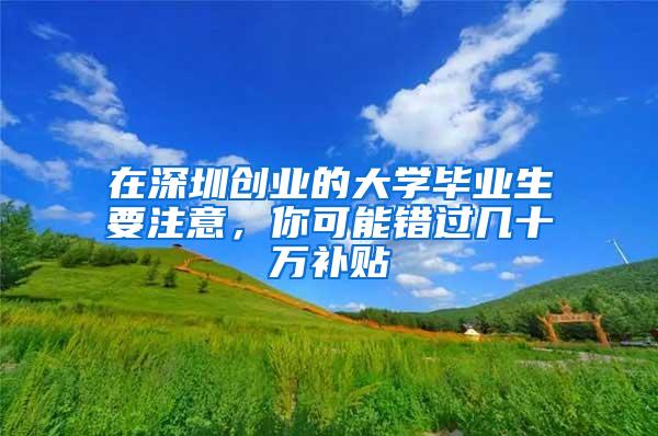在深圳创业的大学毕业生要注意，你可能错过几十万补贴