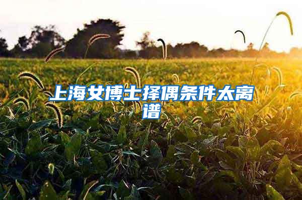 上海女博士择偶条件太离谱