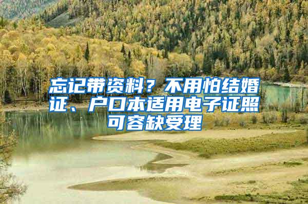 忘记带资料？不用怕结婚证、户口本适用电子证照可容缺受理
