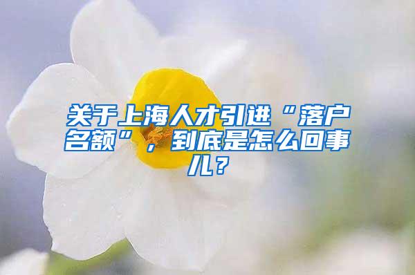 关于上海人才引进“落户名额”，到底是怎么回事儿？
