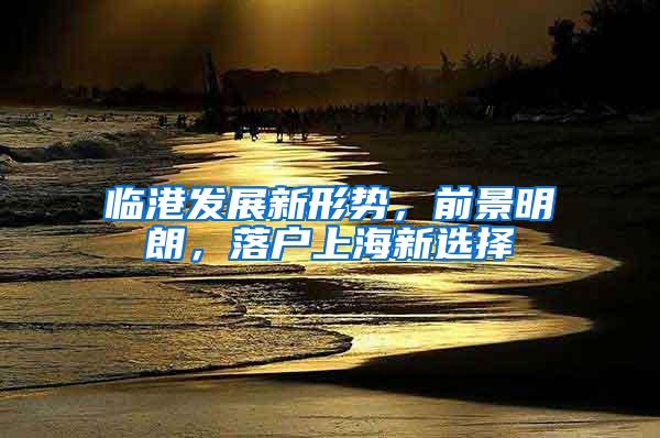 临港发展新形势，前景明朗，落户上海新选择