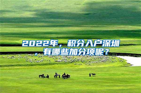 2022年，积分入户深圳，有哪些加分项呢？