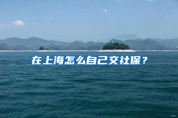在上海怎么自己交社保？