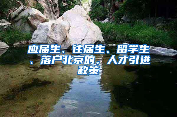 应届生、往届生、留学生、落户北京的，人才引进政策