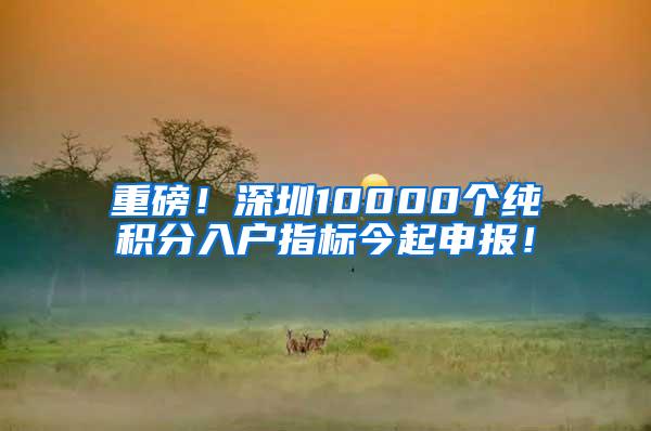 重磅！深圳10000个纯积分入户指标今起申报！