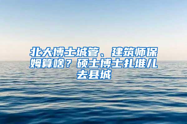 北大博士城管、建筑师保姆算啥？硕士博士扎堆儿去县城