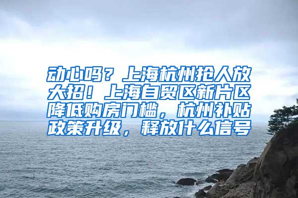 动心吗？上海杭州抢人放大招！上海自贸区新片区降低购房门槛，杭州补贴政策升级，释放什么信号