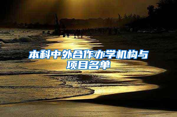 本科中外合作办学机构与项目名单