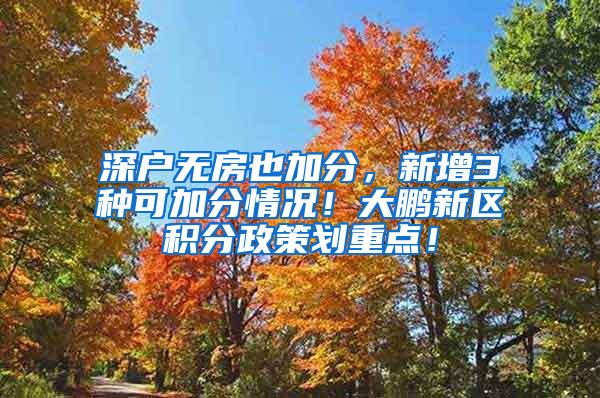深户无房也加分，新增3种可加分情况！大鹏新区积分政策划重点！