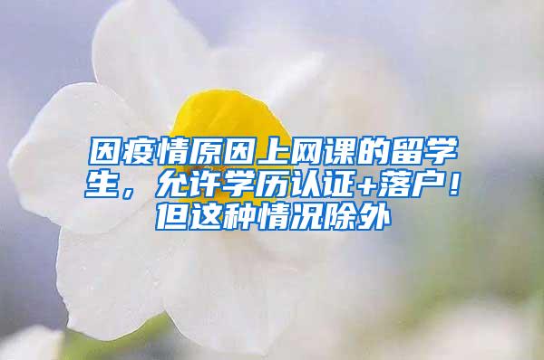 因疫情原因上网课的留学生，允许学历认证+落户！但这种情况除外