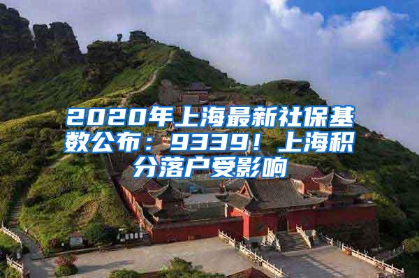 2020年上海最新社保基数公布：9339！上海积分落户受影响