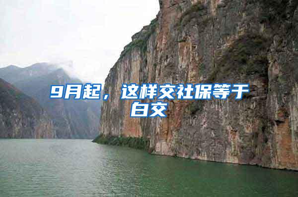 9月起，这样交社保等于白交