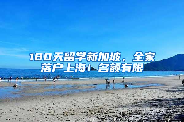 180天留学新加坡，全家落户上海！名额有限