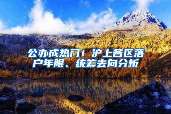 公办成热门！沪上各区落户年限、统筹去向分析