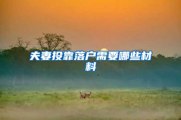 夫妻投靠落户需要哪些材料