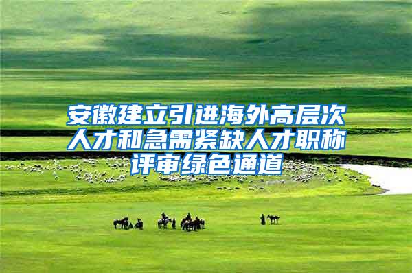 安徽建立引进海外高层次人才和急需紧缺人才职称评审绿色通道