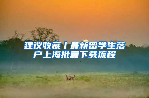建议收藏丨最新留学生落户上海批复下载流程