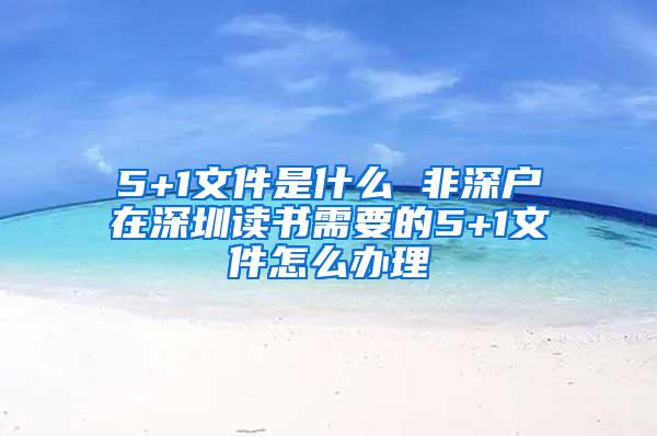 5+1文件是什么 非深户在深圳读书需要的5+1文件怎么办理