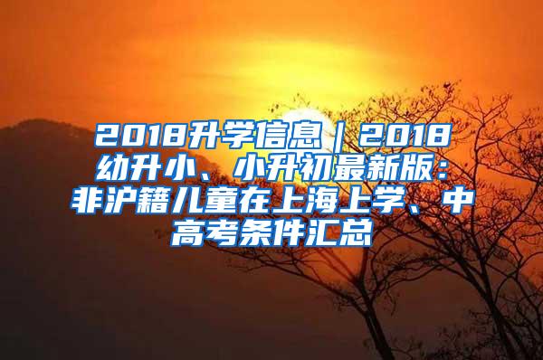 2018升学信息｜2018幼升小、小升初最新版：非沪籍儿童在上海上学、中高考条件汇总