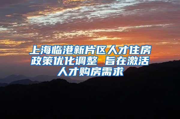 上海临港新片区人才住房政策优化调整 旨在激活人才购房需求