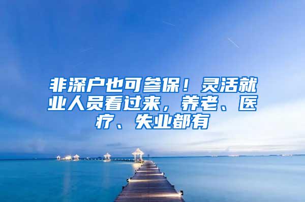 非深户也可参保！灵活就业人员看过来，养老、医疗、失业都有