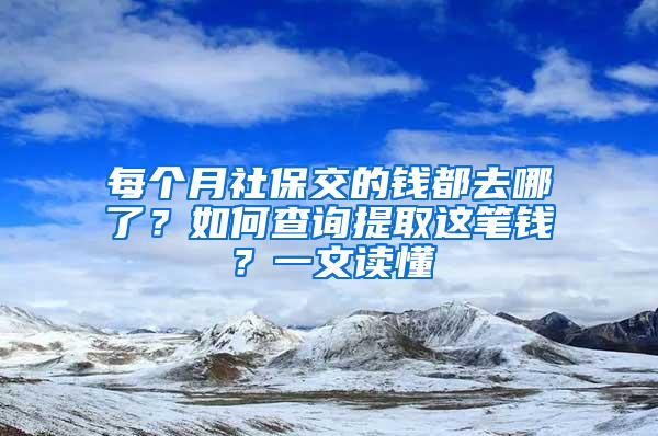每个月社保交的钱都去哪了？如何查询提取这笔钱？一文读懂