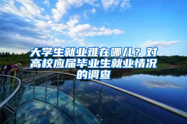 大学生就业难在哪儿？对高校应届毕业生就业情况的调查