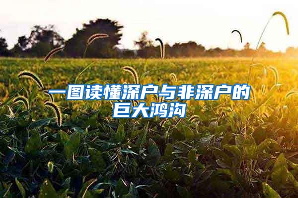 一图读懂深户与非深户的巨大鸿沟