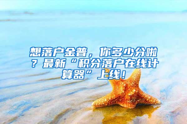 想落户金普，你多少分啦？最新“积分落户在线计算器”上线！