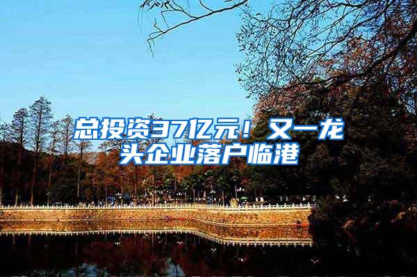总投资37亿元！又一龙头企业落户临港
