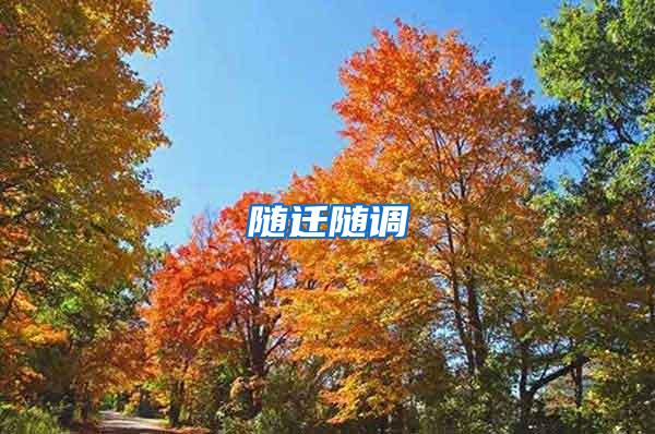 随迁随调