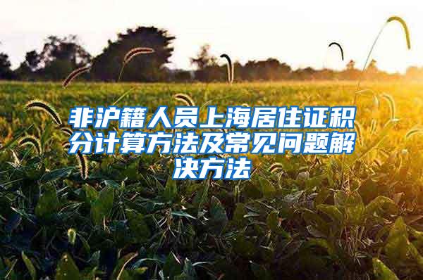 非沪籍人员上海居住证积分计算方法及常见问题解决方法