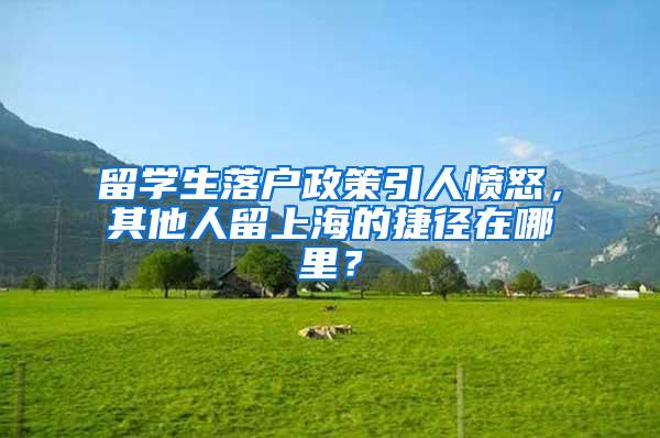 留学生落户政策引人愤怒，其他人留上海的捷径在哪里？